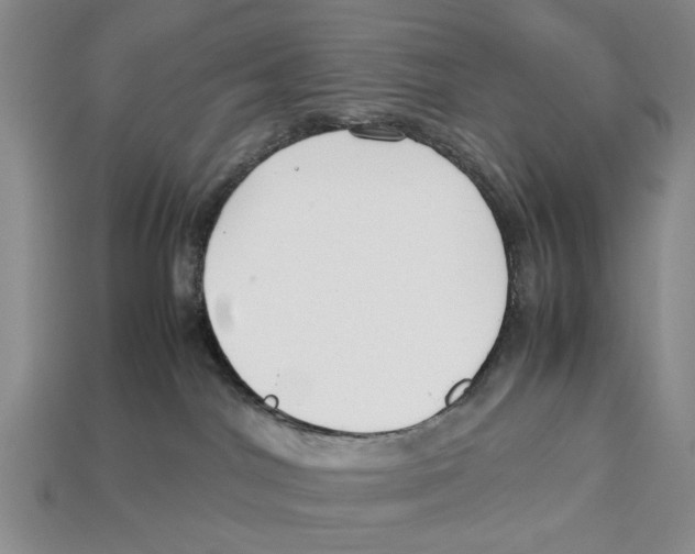 X0000113030044200909241423