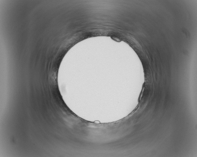 X0000113030045200909241423