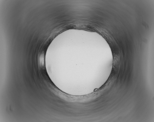 X0000113030046200909241423