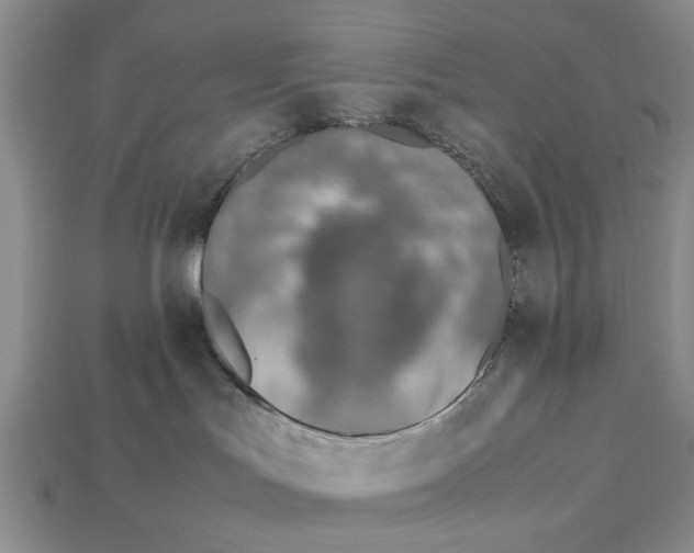 X0000113030047200909241423