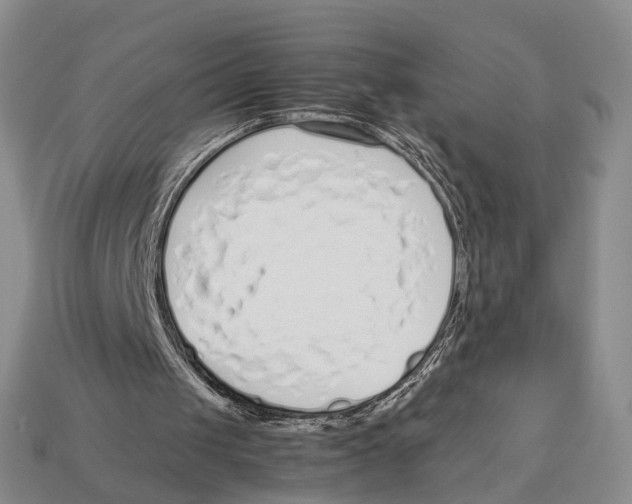 X0000113030049200909241422