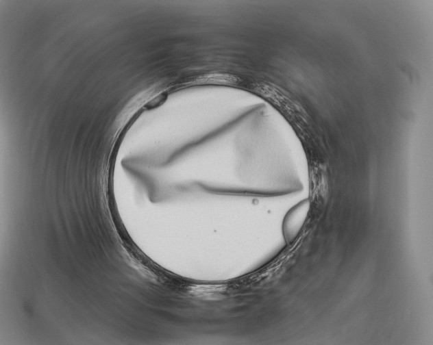 X0000113030051200909241422