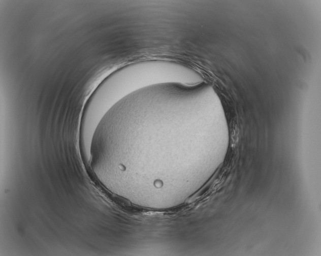 X0000113030052200909241422