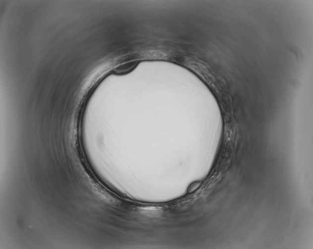 X0000113030053200909241422