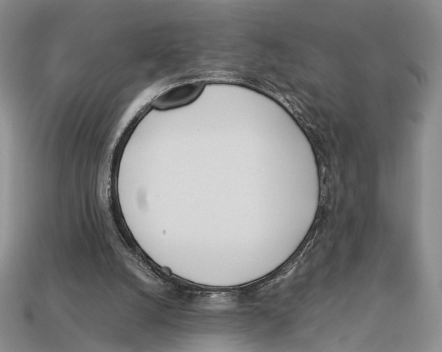 X0000113030056200909241422