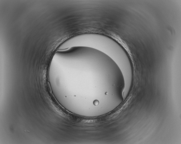 X0000113030057200909241422