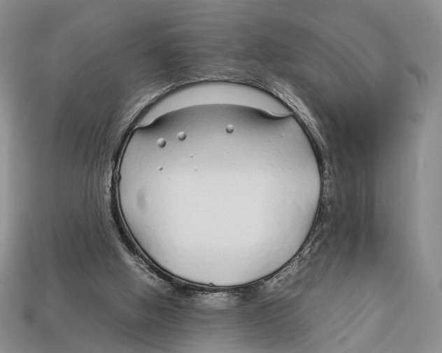 X0000113030058200909241422