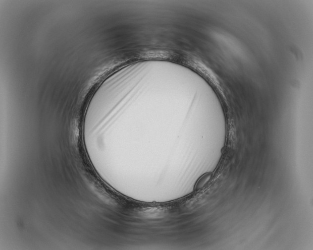 X0000113030059200909241422