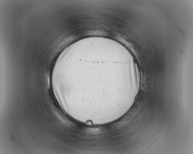 X0000113030061200909241422