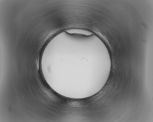 X0000113030062200909241422