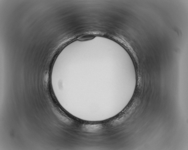 X0000113030063200909241422