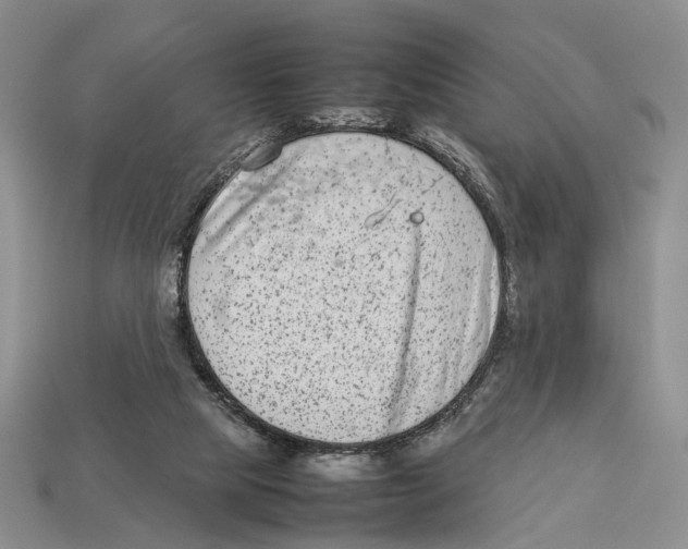 X0000113030065200909241422