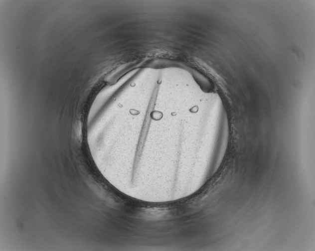 X0000113030067200909241422