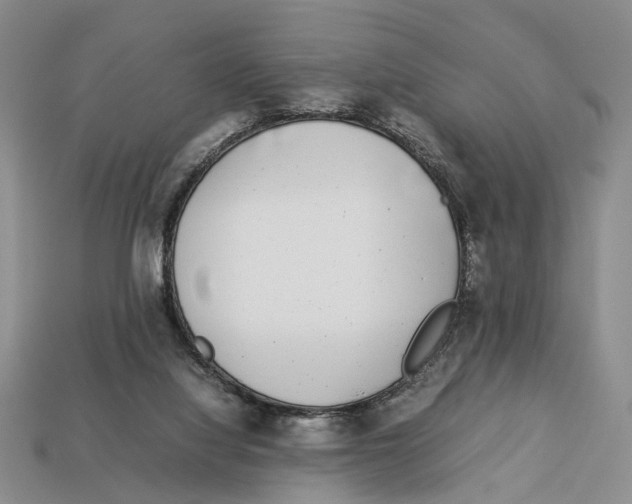 X0000113030068200909241422