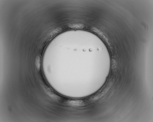 X0000113030069200909241422