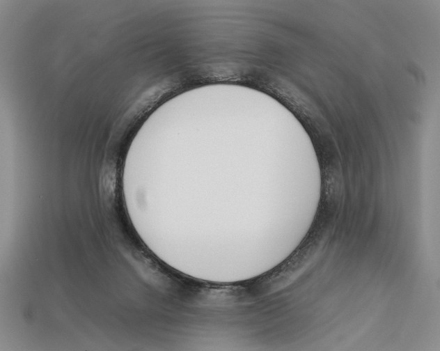 X0000113030072200909241422