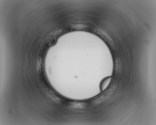 X0000113030073200909241422