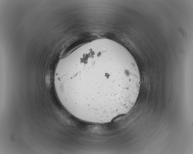 X0000113030074200909241422