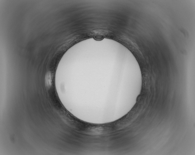 X0000113030075200909241422