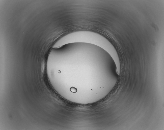 X0000113030076200909241422