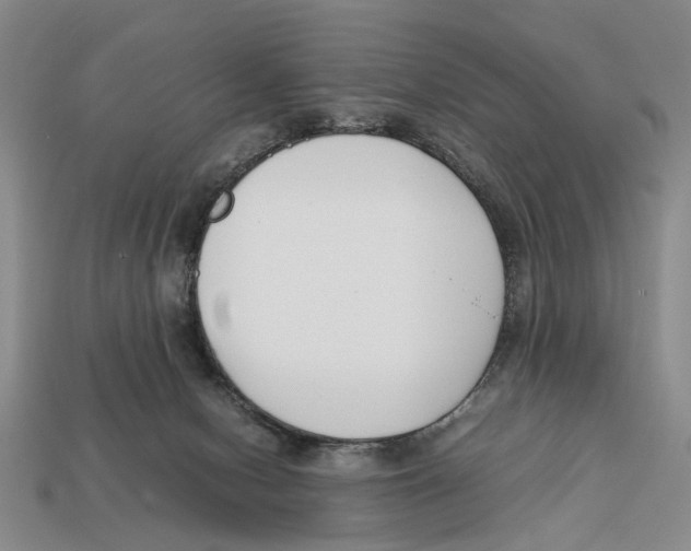 X0000113030078200909241422