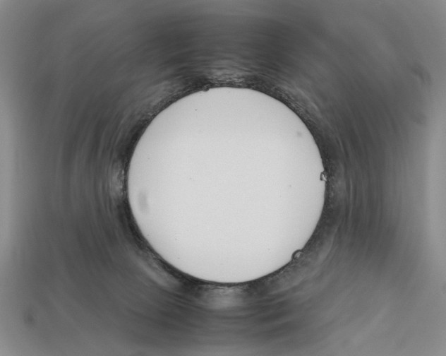 X0000113030081200909241423