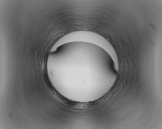 X0000113030084200909241423