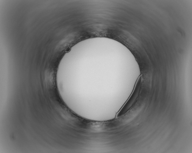 X0000113030088200909241423