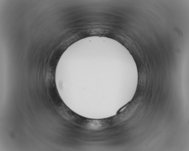 X0000113030091200909241423