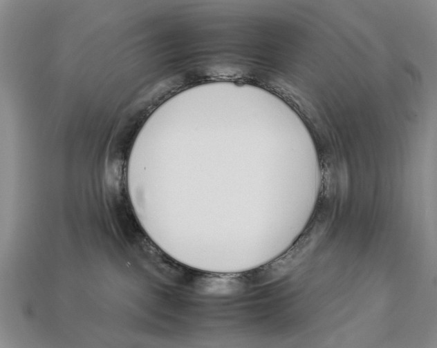 X0000113030093200909241423