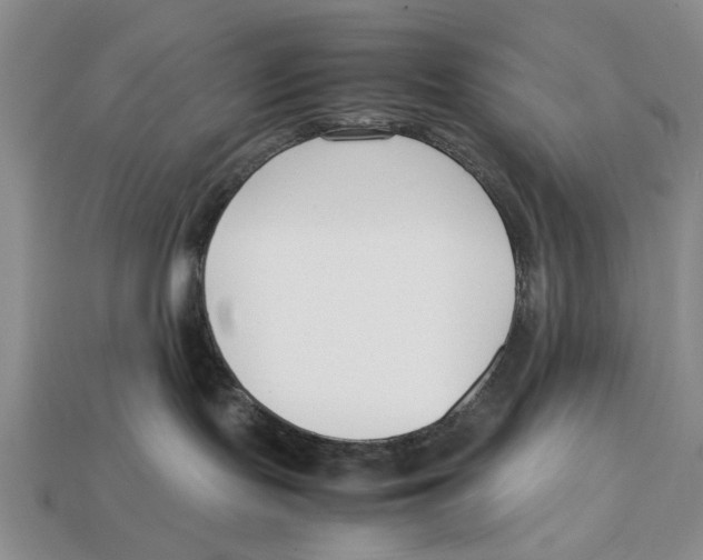 X0000113030095200909241423