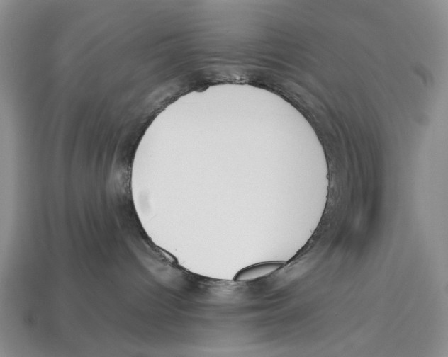 X0000113030096200909241423