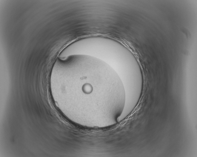 X0000113030097200909241422