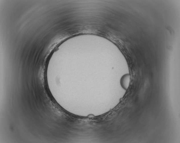 X0000113030098200909241422