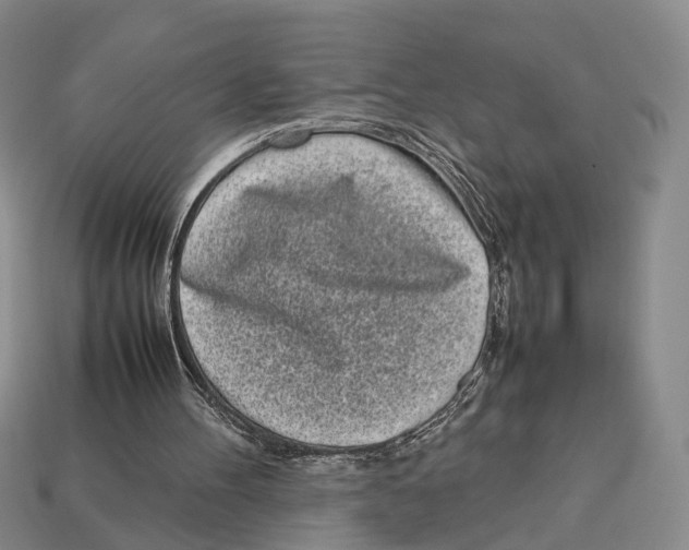 X0000113030100200909241422