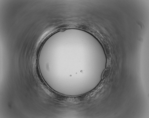 X0000113030101200909241422