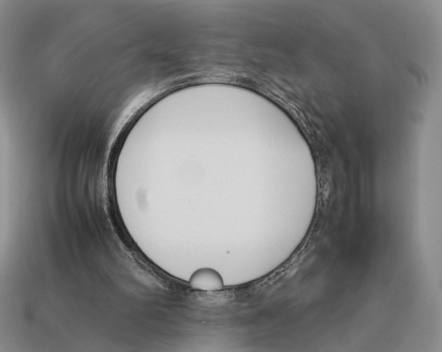 X0000113030102200909241422