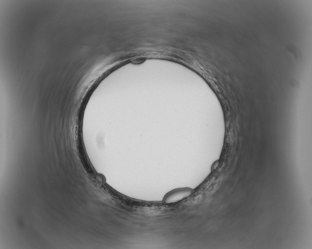 X0000113030103200909241422