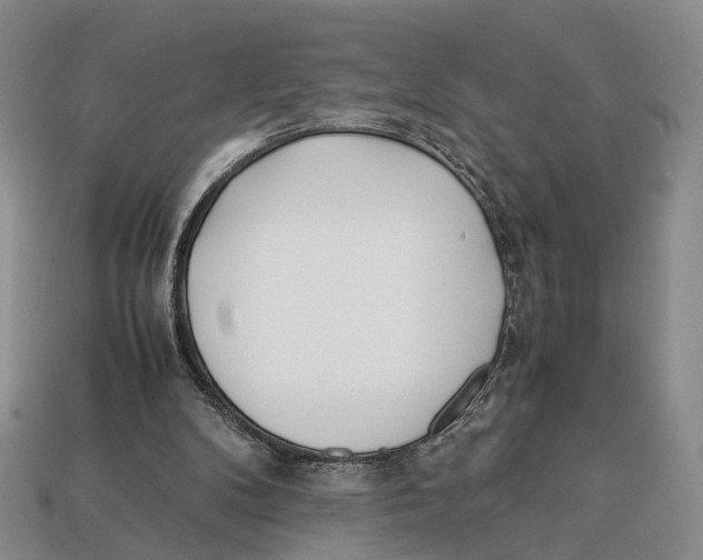 X0000113030104200909241422