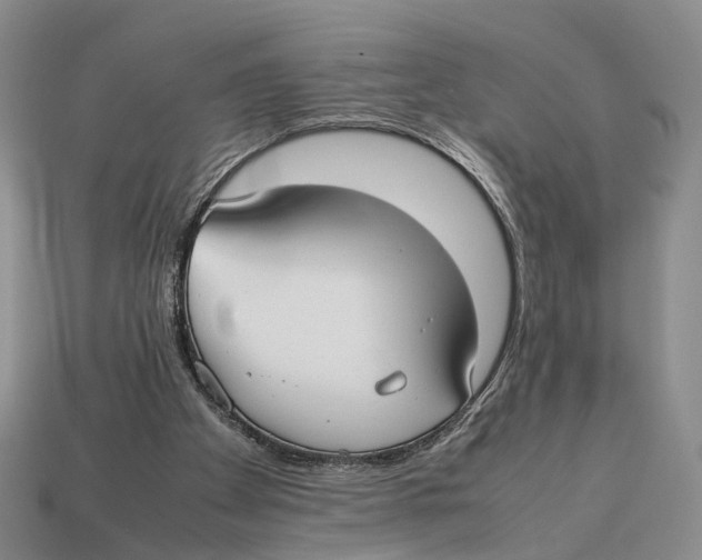 X0000113030105200909241422