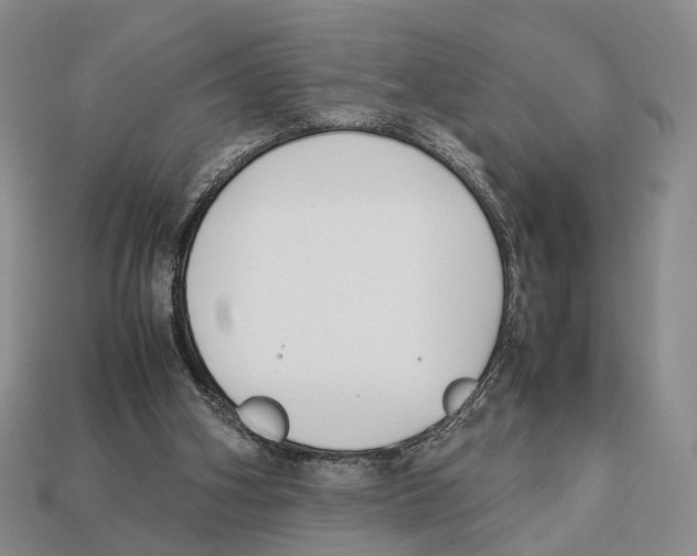 X0000113030106200909241422