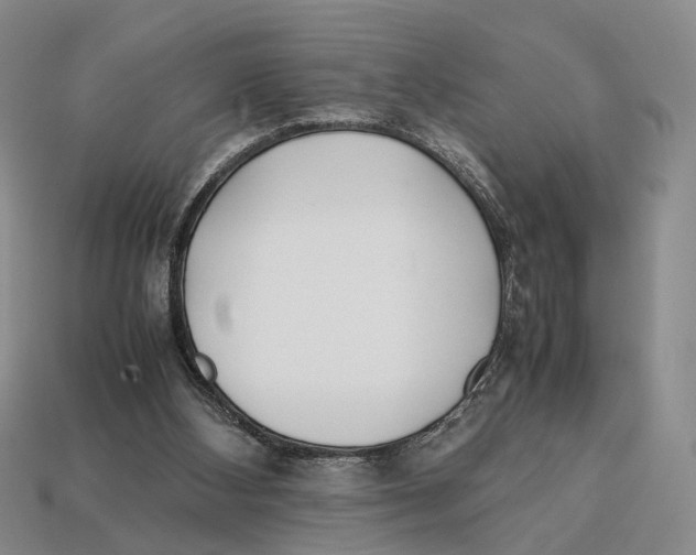 X0000113030108200909241422