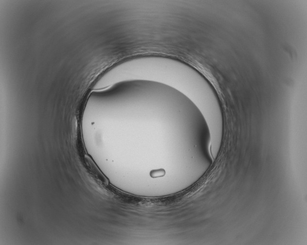 X0000113030109200909241422