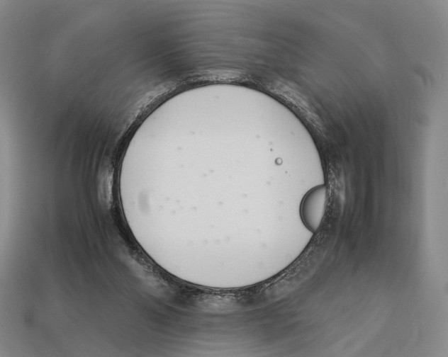 X0000113030110200909241422