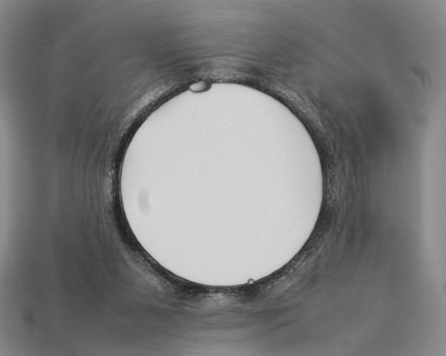 X0000113030111200909241422