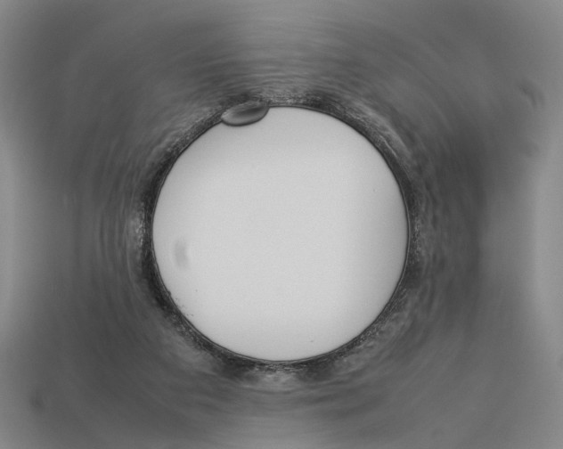 X0000113030113200909241422