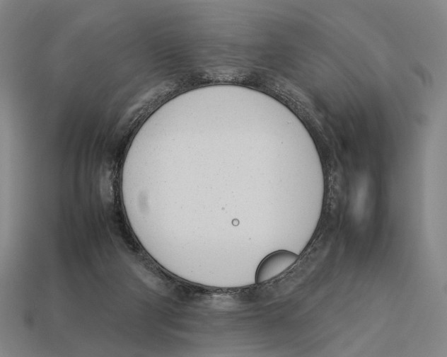 X0000113030114200909241422