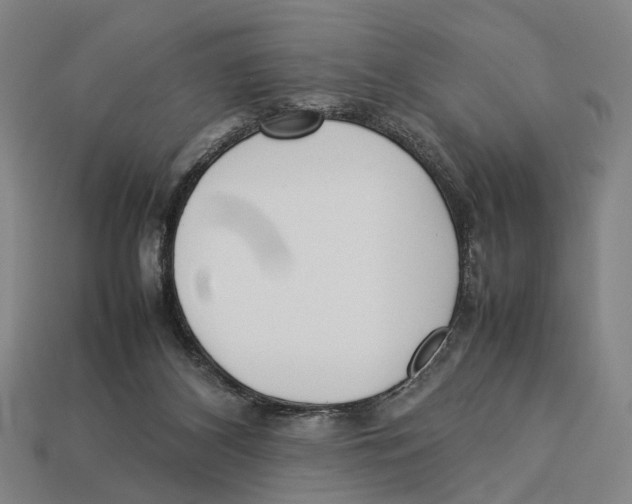 X0000113030116200909241422