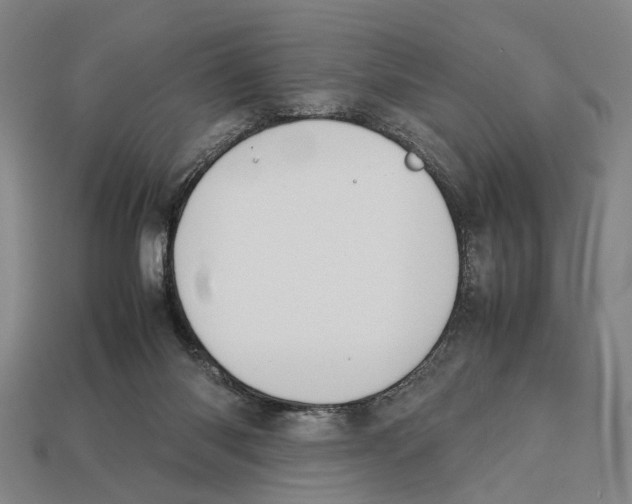 X0000113030118200909241422