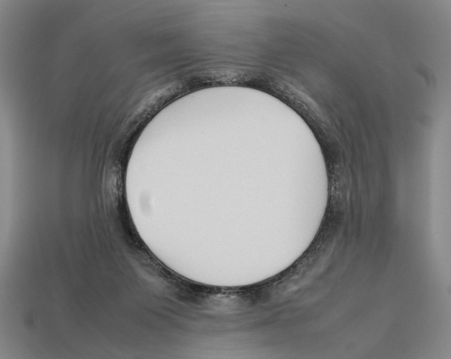 X0000113030119200909241422